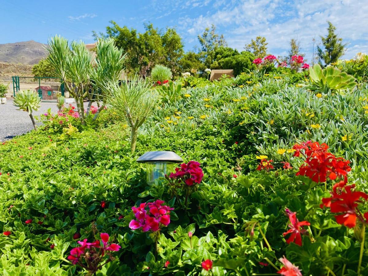 Holiday home Bernegal Maday, Heated Bathtub Piscina Y Jardin